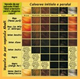 Vopsea de par naturala Negru - Khadi